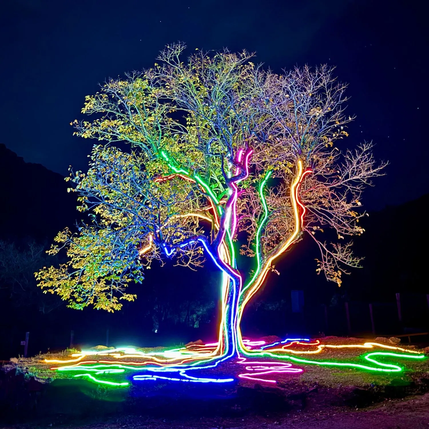 Lummi Experience Gramado: Onde a Magia das Luzes Cria Memórias Eternas