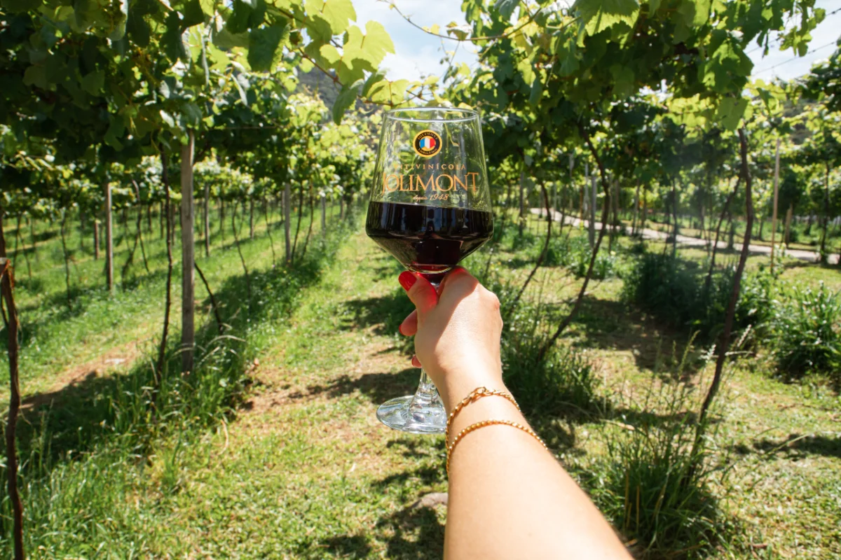 Vitivinícola Jolimont Canela: O Tour de Vinhos Mais Premiado da Região